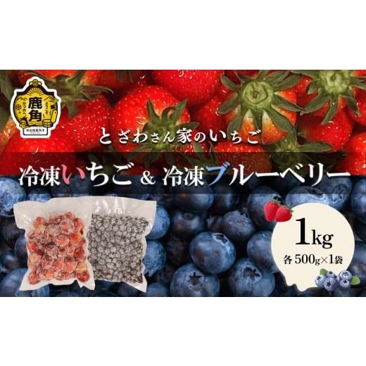 ふるさと納税 いちご 秋田県 鹿角市 鹿角産 冷凍 いちご &amp; ブルーベリー 1kg(各500g 合計2袋)サイズMIX とざわさん家のいちご 旬 県産いちご 国産いちご…