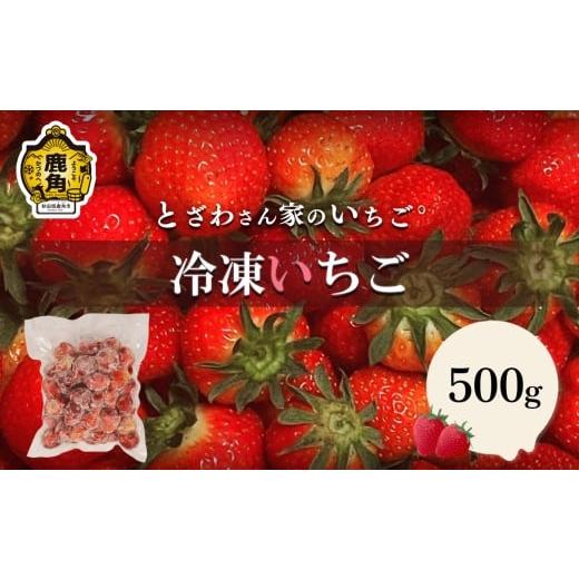 ふるさと納税 いちご 秋田県 鹿角市 鹿角産 冷凍 いちご 500g×1袋 とざわさん家のいちご 旬 県産 県産いちご 国産いちご いちご 苺 イチゴ 真空 真空パック …