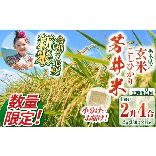 ふるさと納税 米 コシヒカリ 栃木県 那珂川町 定期便2回 数量限定 令和7年度新米 新米那珂川町産芳井米 玄米 330g(2合分)×12 | こしひかり 新米 米 ごはん…