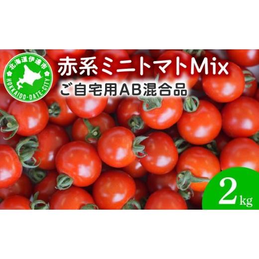 ふるさと納税 トマト ミニトマト 北海道 伊達市 先行予約 赤系ミニトマトMix(たっぷり2kg)|北海道 伊達市 野菜 新鮮 ふるさと納税 送料無料 ffk-004 2kg
