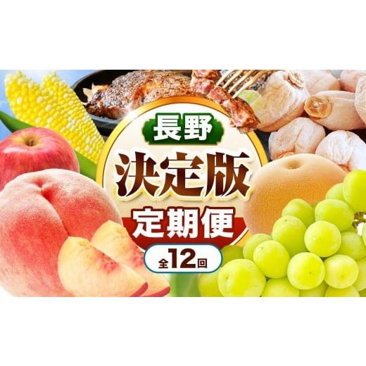 ふるさと納税 自治体にお任せ 長野県 飯田市 飯田市 定期便 決定版 | フルーツ 果物 お菓子 スイーツ 肉 焼肉 干し柿 市田柿 野菜 とうもろこし 桃 梨 りんご … | 