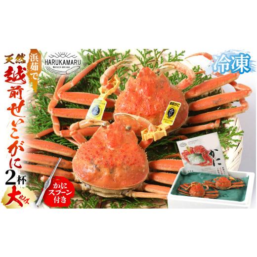 ふるさと納税 カニ ずわいガニ 福井県 美浜町 先行予約 はるか丸厳選 浜茹で 越前 せいこがに 大サイズ 約200g × 2杯 冷凍 かにスプーン付き とれたて 茹で…