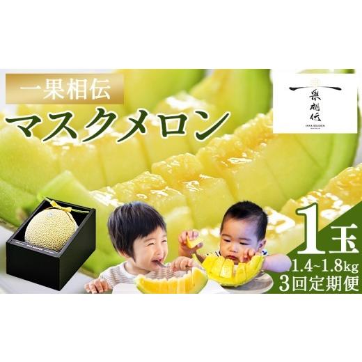 ふるさと納税 メロン メロン青肉 高知県 香南市 3回定期便 一果相伝マスクメロン 1玉入り- めろん メロン 定期便 青肉 果物 くだもの 定期便 ていきびん ま…