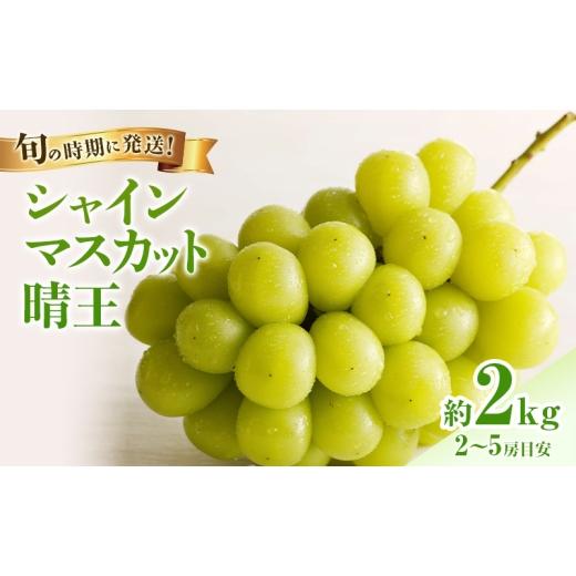 ふるさと納税 ぶどう マスカット 岡山県 瀬戸内市  2026年先行受付 シャインマスカット 晴王 秀品 大房 約2kg(2〜5房) 岡山県産 ぶどう 葡萄 ブドウ ギフト 御…の画像