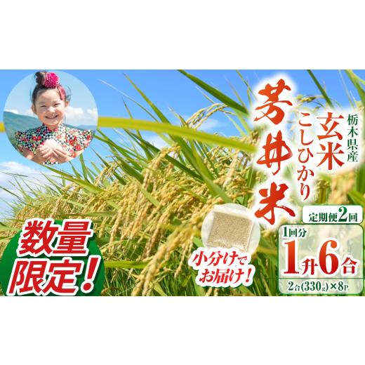 ふるさと納税 米 コシヒカリ 栃木県 那珂川町 定期便2回 数量限定 令和7年度 那珂川町産芳井米 玄米 330g(2合分)×8 | こしひかり コシヒカリ 米 ごはん ふ…
