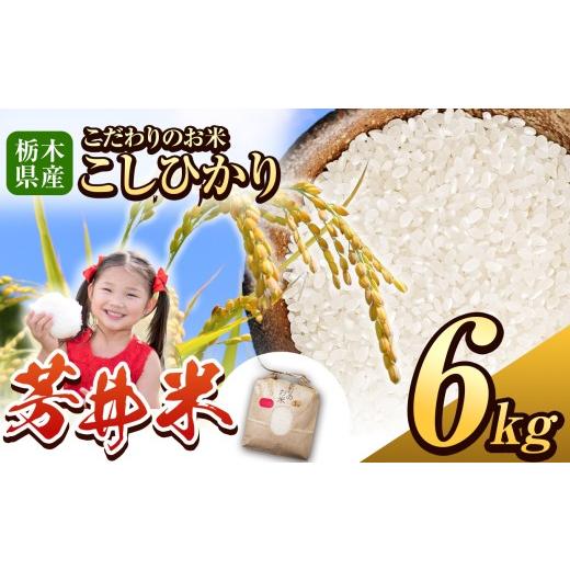 ふるさと納税 米 コシヒカリ 栃木県 那珂川町 那珂川町産芳井米 3kg×2 | コシヒカリ お米 精米 美味しい 白米 とちぎ 玄米 共通返礼品 送料無料 那珂川町 栃…