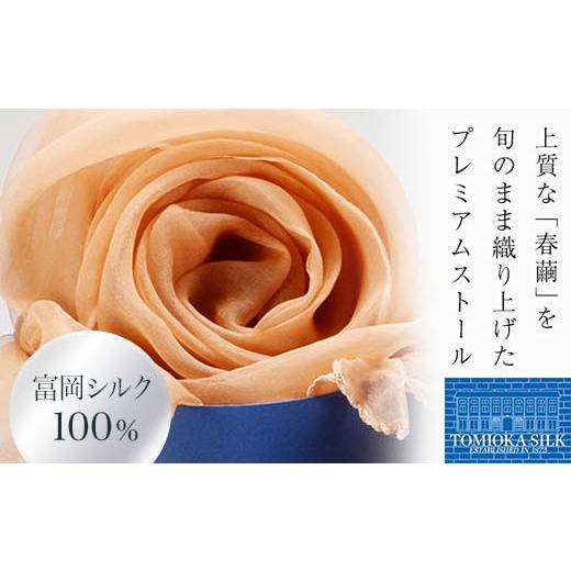 ふるさと納税 小物 ストール・マフラー 群馬県 富岡市 TOMIOKA SILK オーガンジーストール 草木染 アプリコット 富岡シルク ストール 贈り物 ギフト F21E-373 …