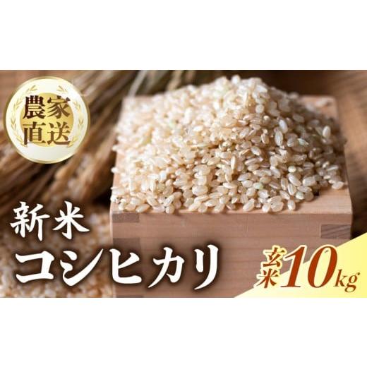 ネット決済① 令和7年産 高知県産 コシヒカリ 玄米10㎏(袋込み)