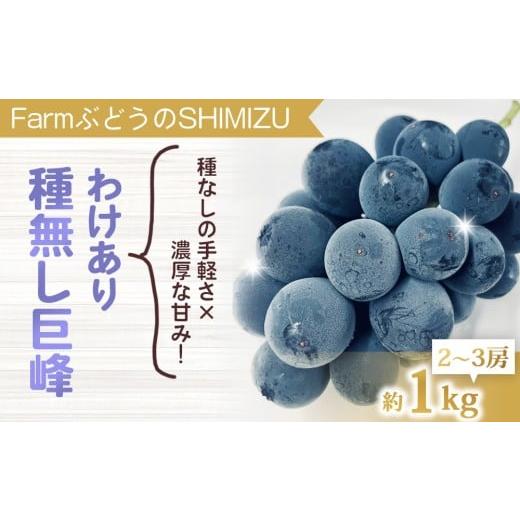 ふるさと納税 ぶどう 巨峰 長野県 東御市 先行受付2026年発送 わけあり種無し巨峰約1kg(2〜3房)|清水農園 2026年9月中旬以降発送予定 月曜日、金曜日の…