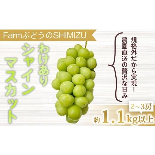 ふるさと納税 ぶどう マスカット 長野県 東御市 先行受付2026年発送 わけありシャインマスカット約1.1kg(2〜3房)|清水農園 2026年9月上旬以降順次発送予定…