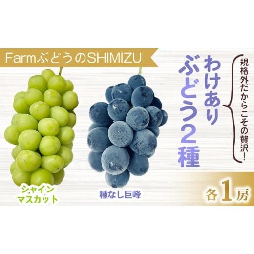 ふるさと納税 ぶどう 巨峰 長野県 東御市 先行受付2026年発送 わけあり2種のぶどうセット(シャインマスカット、種無し巨峰)各1房 、合計2房(900g以上) …