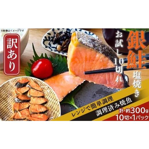 ふるさと納税 魚貝類 鮭 新潟県 長岡市 H7-C5 訳あり レンジで簡単調理 銀鮭塩焼き お試し10切