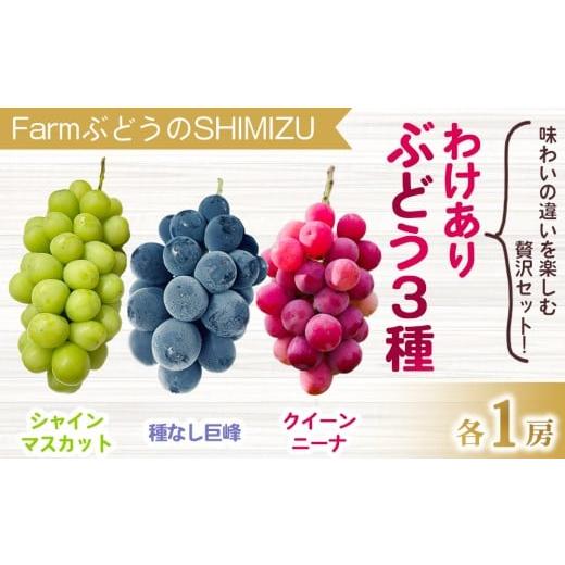 ふるさと納税 ぶどう マスカット 長野県 東御市 先行受付2026年発送 わけあり3種のぶどうミックスセット(クイーンニーナ、シャインマスカット、種無し巨峰)…