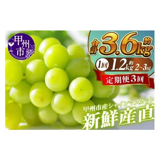 ふるさと納税 ぶどう マスカット 山梨県 甲州市 新鮮産直 甲州市・シャインマスカット3回定期便 2026年発送 （KSF）D5-125 2026年発送の画像