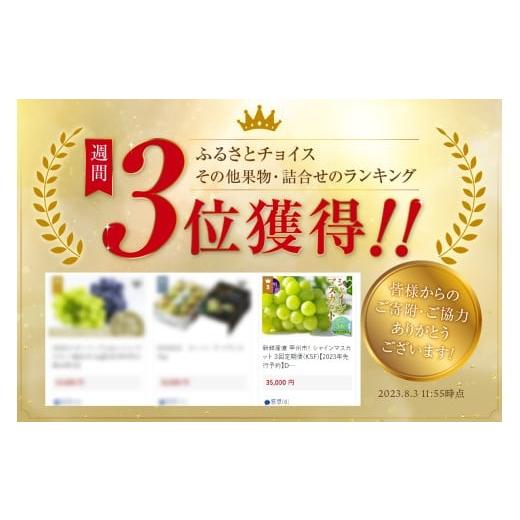 ふるさと納税 ぶどう マスカット 山梨県 甲州市 新鮮産直 甲州市・シャインマスカット3回定期便 2026年発送 （KSF）D5-125 2026年発送の画像