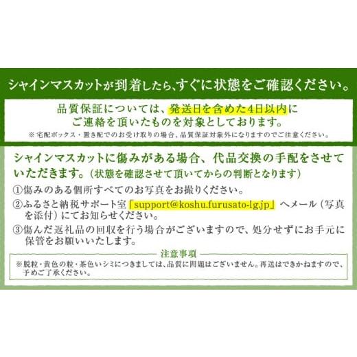 ふるさと納税 ぶどう マスカット 山梨県 甲州市 新鮮産直 甲州市・シャインマスカット3回定期便 2026年発送 （KSF）D5-125 2026年発送の画像