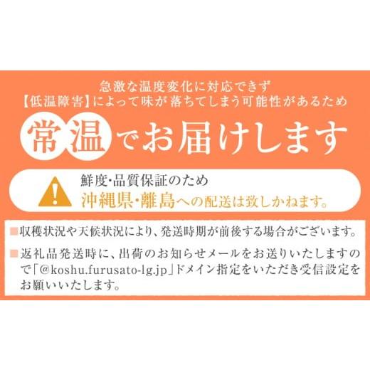 ふるさと納税 ぶどう マスカット 山梨県 甲州市 新鮮産直 甲州市・シャインマスカット3回定期便 2026年発送 （KSF）D5-125 2026年発送の画像
