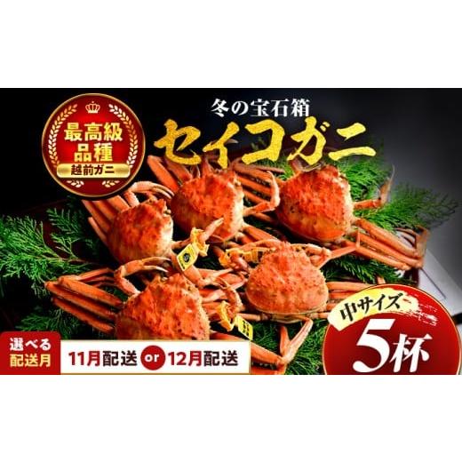 ふるさと納税 カニ ずわいガニ 福井県 小浜市 年内配送 先行予約 11月配送 セイコガニ(ズワイガニのメス)中サイズ 5杯 小浜市 / まるほ商店 配送不可地域…