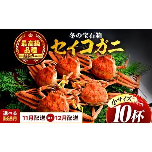 ふるさと納税 カニ ずわいガニ 福井県 小浜市 年内配送 先行予約 11月配送 セイコガニ(ズワイガニのメス) 小サイズ 10杯 小浜市 / まるほ商店 配送不可地…