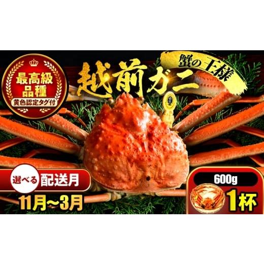 ふるさと納税 カニ ずわいガニ 福井県 小浜市 先行予約 3月配送 越前がに 600g×1杯 小浜市 / まるほ商店 配送不可地域:北海道・沖縄・離島 BFCS018-3 3月…