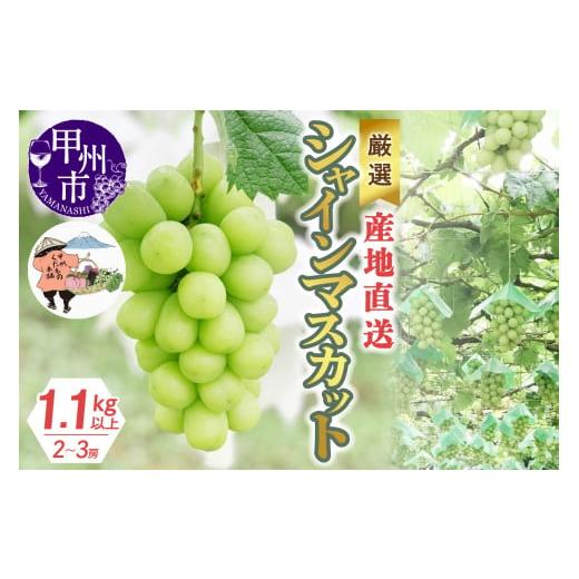 ふるさと納税 ぶどう マスカット 山梨県 甲州市 厳選 産地直送ぶどう「シャインマスカット」1.1kg以上(2〜3房) 2026年発送 (KKH)B-491 2026年発送