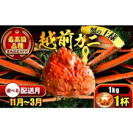 ふるさと納税 カニ ずわいガニ 福井県 小浜市 先行予約 3月配送 越前がに 1kg×1杯 小浜市 / まるほ商店 配送不可地域:北海道・沖縄・離島 BFCS030-3 3月配…