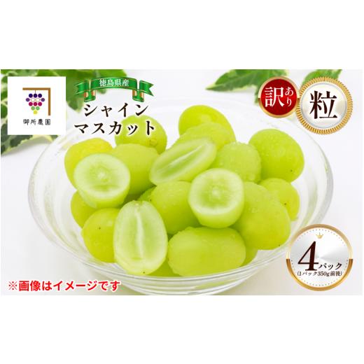 ふるさと納税 ぶどう マスカット 徳島県 阿波市 訳あり シャインマスカット 4パック 粒でお届け 出荷時期:2026年8月下旬〜2026年9月下旬頃 フルーツ ぶどう …