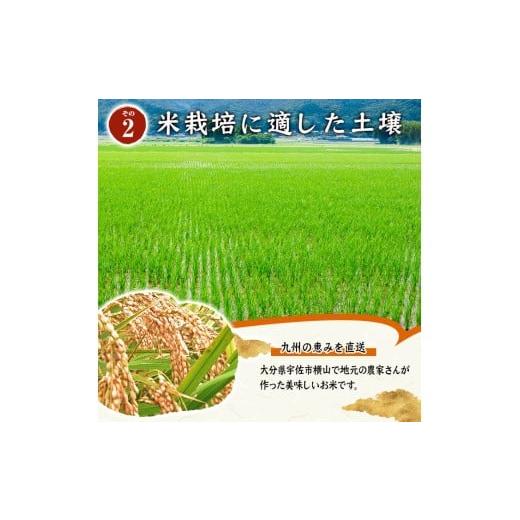 ふるさと納税 米 ヒノヒカリ 大分県 宇佐市 白米 (計5kg) お米 ごはん 