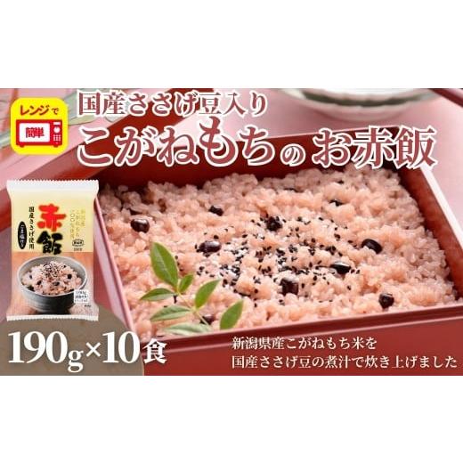 ふるさと納税 米・パン もち米 新潟県 小千谷市 新潟産こがねもち赤飯 パックご飯 10個パック たかの | もち米 赤飯 お赤飯 ご飯 お手軽 パック パックライス …
