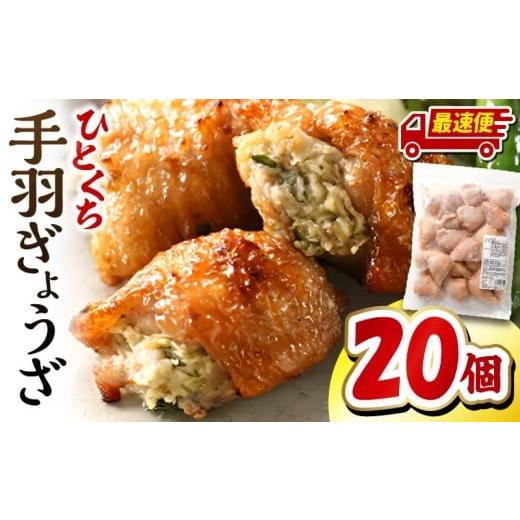 ふるさと納税 惣菜・レトルト 冷凍 宮崎県 宮崎市 最速便 ひとくち手羽ぎょうざ 20個入×1パック_M025-005-01-2W 12,000円 最速便 20個