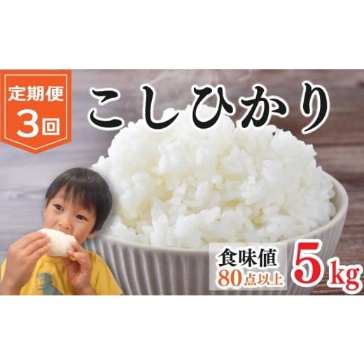ふるさと納税 米 コシヒカリ 徳島県 阿波市 お米 コシヒカリ 5kg 定期便3回 令和7年産 米 こめ ご飯 ごはん おにぎり 白米 食品 備蓄 備蓄米 保存 防災 ギフト…
