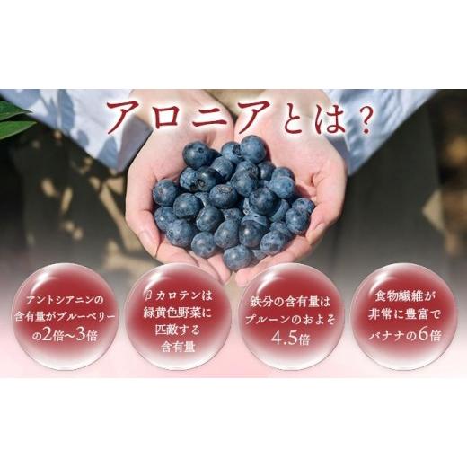 ふるさと納税 加工品等 はちみつ 北海道 伊達市  5525-0279 北海道 伊達大滝産 アロニア ベリー 赤い はちみつ 140g×2 国産 ハチミツ 蜂蜜 ハニー 赤はちみつ…の画像
