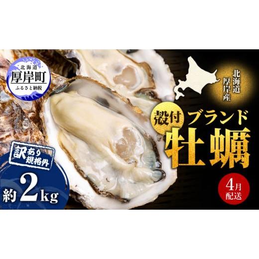 ふるさと納税 牡蠣 生牡蠣 北海道 厚岸町 4月配送 訳あり ハーフ 規格外 牡蠣 北海道厚岸産 殻付カキ 約2kg(11〜25個)カキナイフ付 生食 魚貝類 生牡蠣 かき…