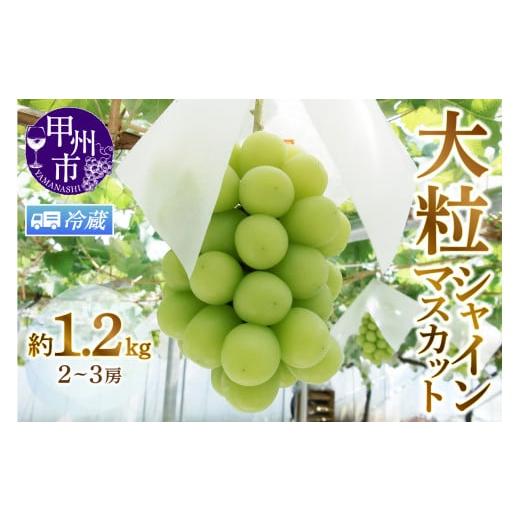 ふるさと納税 ぶどう マスカット 山梨県 甲州市 クール便発送 甲州市産厳選旬の大粒シャインマスカット 約1.2kg 2〜3房 2026年発送 (MG)B12-472CO 2026年発…