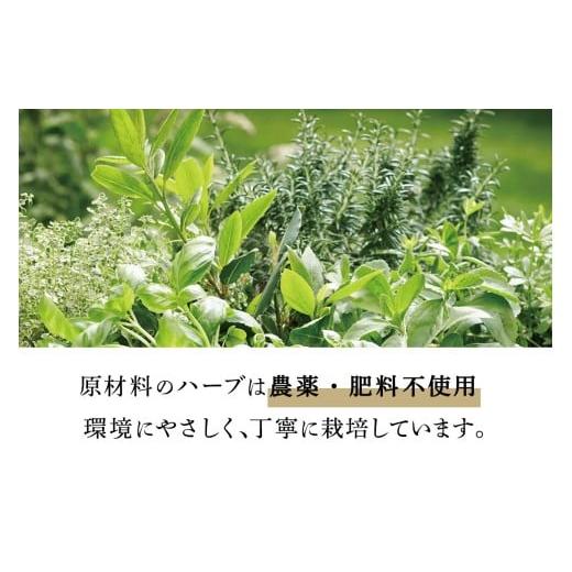 ふるさと納税 美容 神奈川県 伊勢原市 HAS 自然派ケア商品 詰め合わせ ギフトセット｜ハーブ 石けん 洗剤 シャンプー 農薬不使用 0371の画像