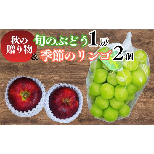 ふるさと納税 果物類 ぶどう 長野県 千曲市 2026年先行予約 秋の贈り物 旬のぶどう1房と季節のりんご2個詰め合わせ|葡萄 ブドウ 林檎 詰め合わせ セット …