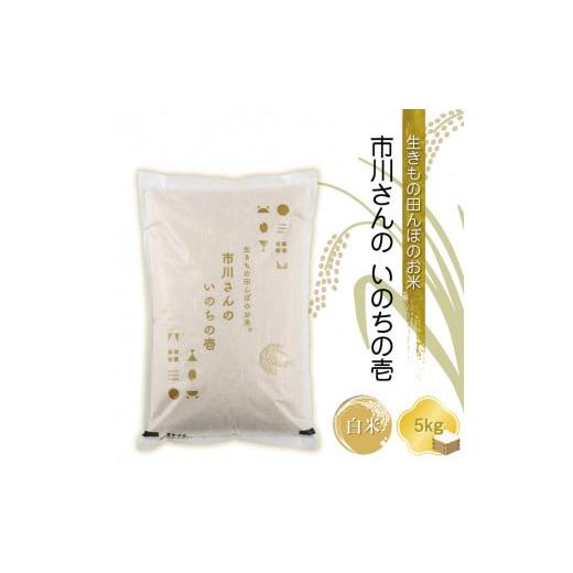 ふるさと納税 米 長野県 佐久市 令和6年産 生きもの田んぼのお米 市川さんのいのちの壱 白米5kg 農薬・化学肥料・除草剤不使用 精米 コメ 信州 希少 米 コメ …