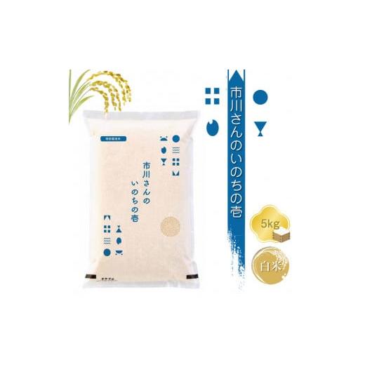 ふるさと納税 米 長野県 佐久市 令和6年産 特別栽培米 市川さんのいのちの壱 白米5kg 精米 コメ 信州 希少 おいしい ごはん 米 コメ 備蓄品 備蓄米 長野県 佐…