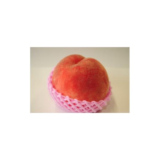 ふるさと納税 もも 青森県 田舎館村 田舎館村産 桃(川中島白桃)2kg 1647961の画像