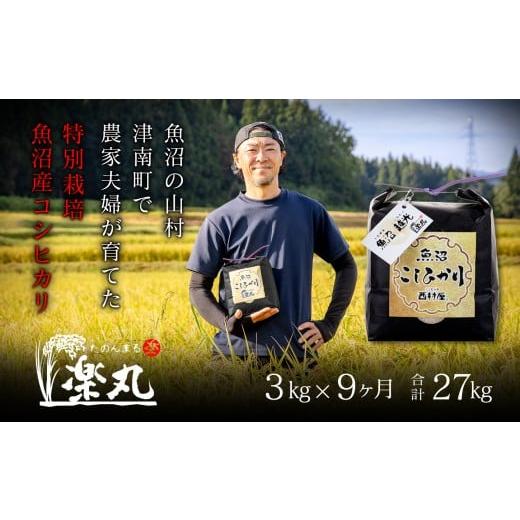ふるさと納税 米 コシヒカリ 新潟県 津南町 定期便 9ヶ月 米 3kg × 9回 令和7年産 新米 魚沼産 コシヒカリ 特別栽培米 農家直送 | お米 おこめ こめ コメ 白…