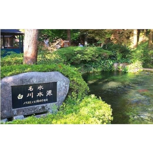 ふるさと納税 水・ミネラルウォーター 2.1L〜 熊本県 南阿蘇村  2025T2 日本名水百選ミネラルウォーター「南阿蘇村白川水源」500mlボトル24本入り×2ケース 12…の画像