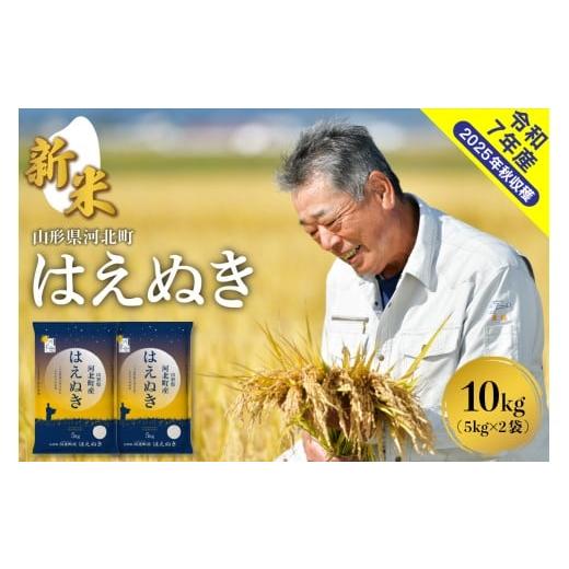 ふるさと納税 米 はえぬき 山形県 河北町 令和7年産米 2025年11月下旬発送 はえぬき10kg(5kg×2袋) 山形県産 米comeかほく協同組合 ka024-040d-r7-113 2025…