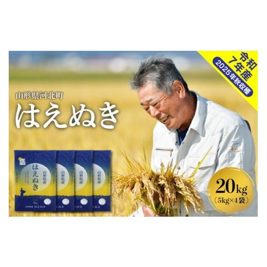 ふるさと納税 米 はえぬき 山形県 河北町 令和7年産米 2026年5月下旬発送 はえぬき20kg（5kg×4袋） 山形県産 米comeかほく協同組合 ka024-046d-r7-053 2026…_1