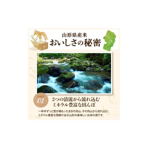 ふるさと納税 米 はえぬき 山形県 河北町 令和7年産米 2026年5月下旬発送 はえぬき20kg（5kg×4袋） 山形県産 米comeかほく協同組合 ka024-046d-r7-053 2026…_2
