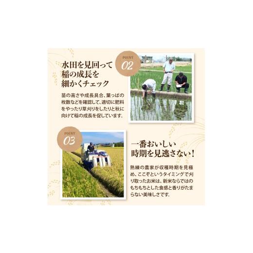 ふるさと納税 米 はえぬき 山形県 河北町 令和7年産米 2026年5月下旬発送 はえぬき20kg（5kg×4袋） 山形県産 米comeかほく協同組合 ka024-046d-r7-053 2026…_3
