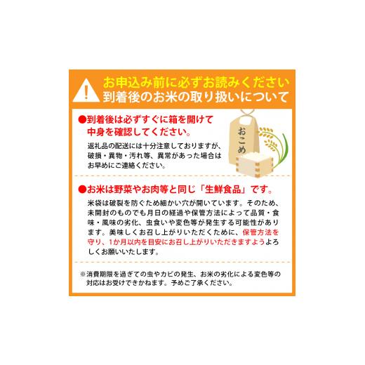 ふるさと納税 米 はえぬき 山形県 河北町 令和7年産米 2026年5月下旬発送 はえぬき20kg（5kg×4袋） 山形県産 米comeかほく協同組合 ka024-046d-r7-053 2026…_5