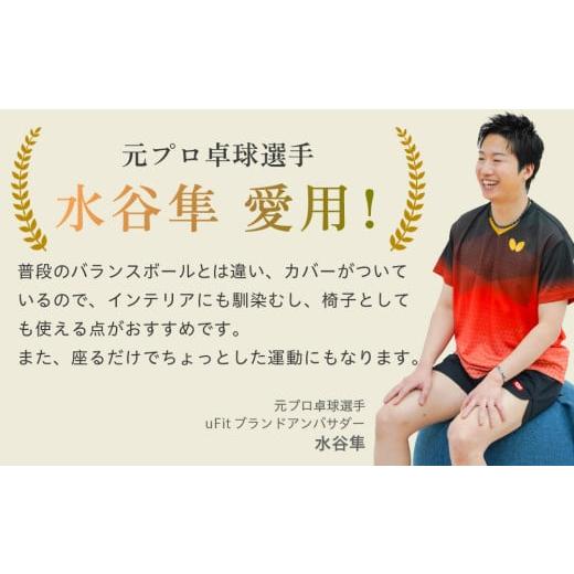 ふるさと納税 スポーツ・アウトドア 東京都 渋谷区 uFit Balance Ball　65cm グレー バランスボール カバー付き トレーニング 取手付き 洗濯可能 体幹 椅子 運…_2