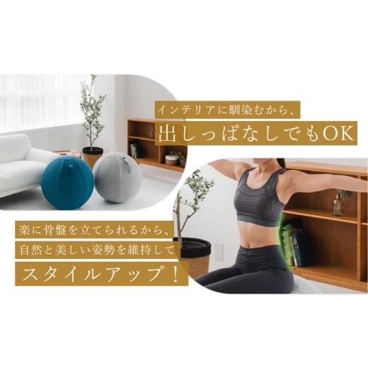 ふるさと納税 スポーツ・アウトドア 東京都 渋谷区 uFit Balance Ball　65cm グレー バランスボール カバー付き トレーニング 取手付き 洗濯可能 体幹 椅子 運…_3