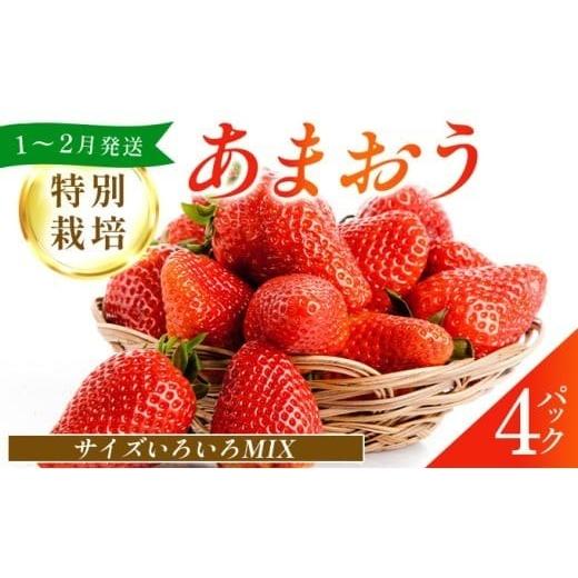 ふるさと納税 果物類 福岡県 篠栗町 福岡県産 特別栽培 あまおう サイズいろいろMIX 約1140g(約285g×4パック) 1〜2月発送 農園直送 アフター保証 先行予…