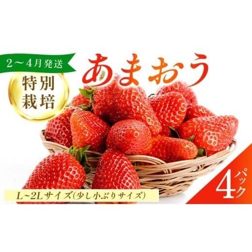 ふるさと納税 果物類 福岡県 篠栗町 福岡県産 特別栽培 あまおう L~2Lサイズ(少し小ぶりサイズ)約1140g(約285g×4パック) 2〜4月発送 | 農園直送 アフター…
